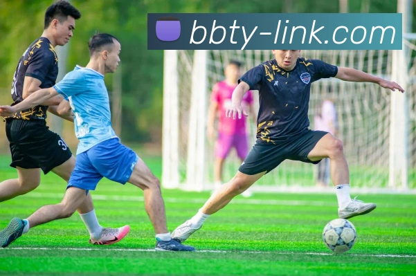 BB体育：引领数字化竞技内容传播与交互的新标准平台生态图